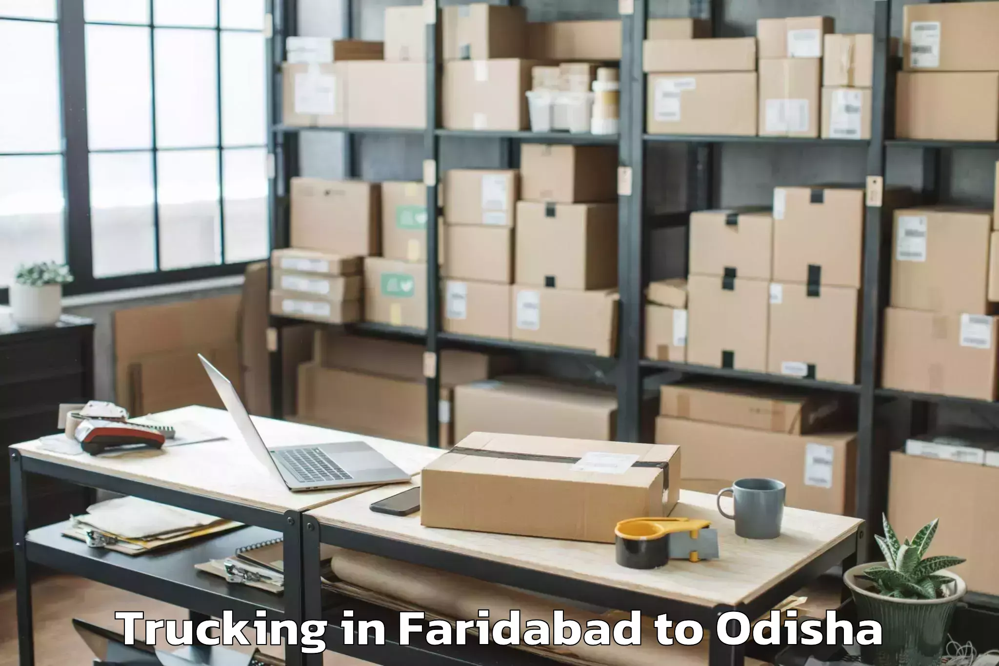 Top Faridabad to Dhamara Trucking Available